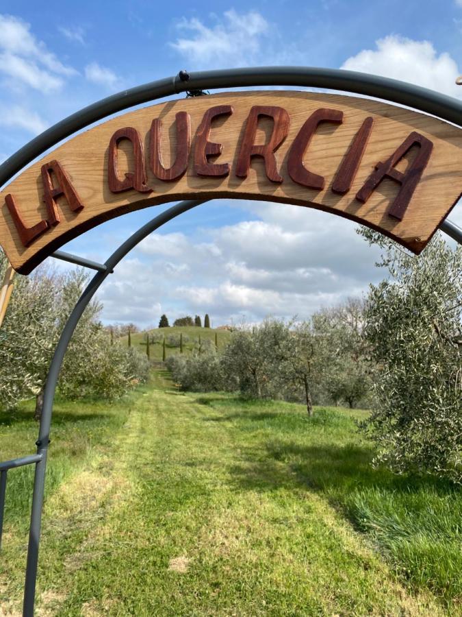 La Casina Della Quercia, Your Tuscan Oak Tree House Osteria Delle Noci Exterior photo